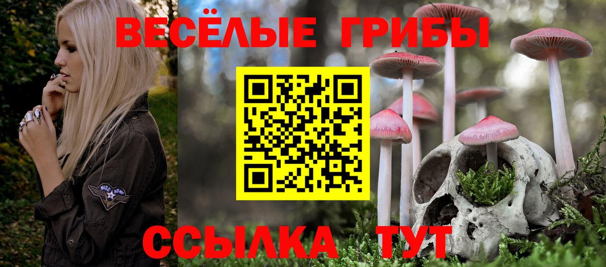 Галлюциногенные грибы MAGIC MUSHROOMS Петропавловск-Камчатский
